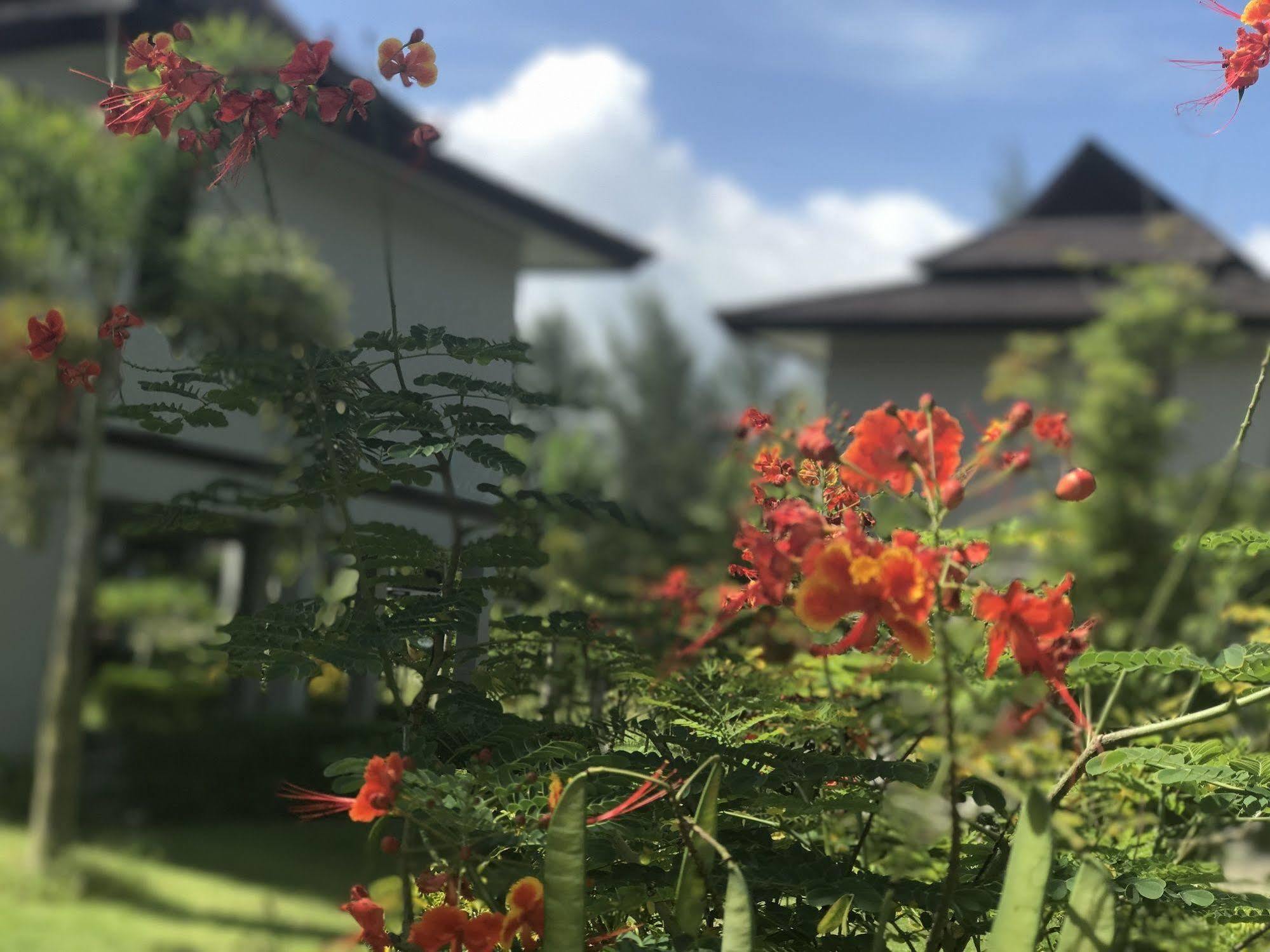The Hip Resort @ Khao Lak Bang Sak Exterior photo